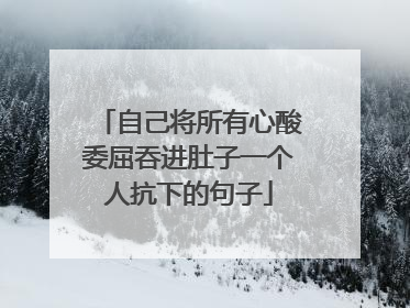 自己将所有心酸委屈吞进肚子一个人抗下的句子