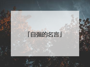 自强的名言