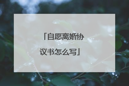 自愿离婚协议书怎么写
