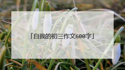 自我的初三作文600字
