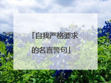 自我严格要求的名言警句