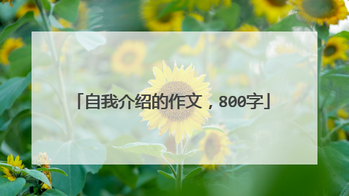 自我介绍的作文，800字