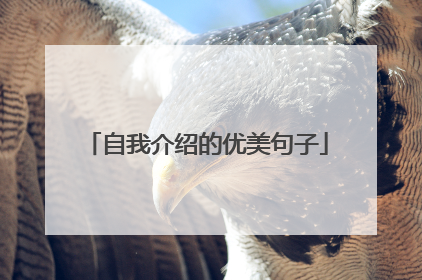 自我介绍的优美句子