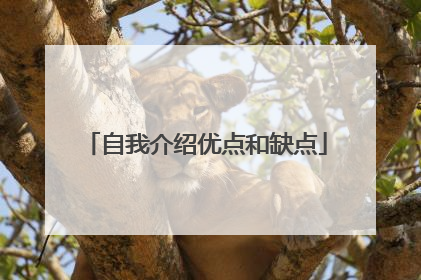 自我介绍优点和缺点