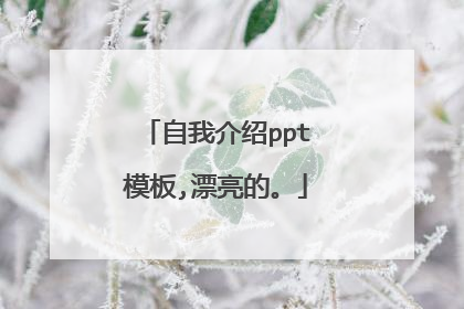 自我介绍ppt模板,漂亮的。