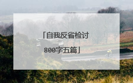 自我反省检讨800字五篇