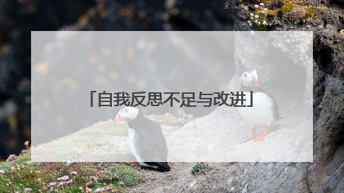 自我反思不足与改进