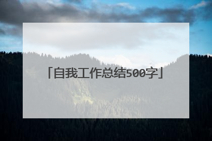 自我工作总结500字