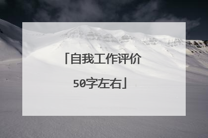 自我工作评价 50字左右