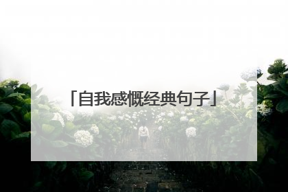 自我感慨经典句子