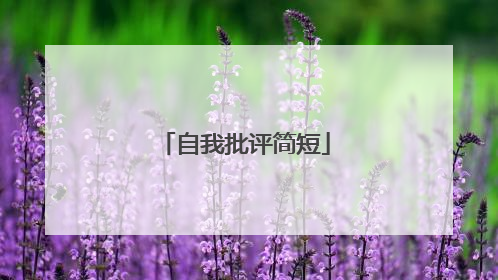自我批评简短