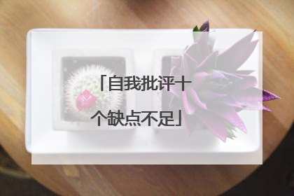 自我批评十个缺点不足