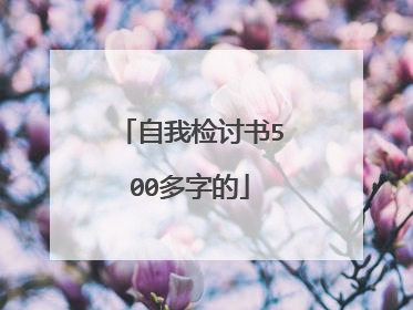 自我检讨书500多字的