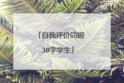 自我评价简短30字学生
