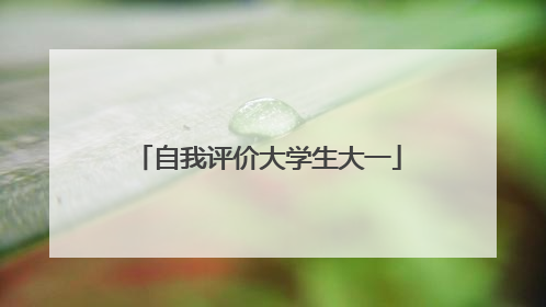 自我评价大学生大一