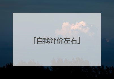 自我评价左右