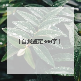 自我鉴定300字