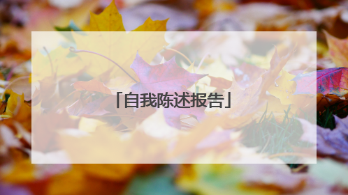 自我陈述报告