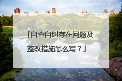 自查自纠存在问题及整改措施怎么写?