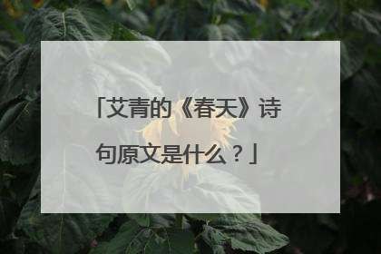 艾青的《春天》诗句原文是什么？