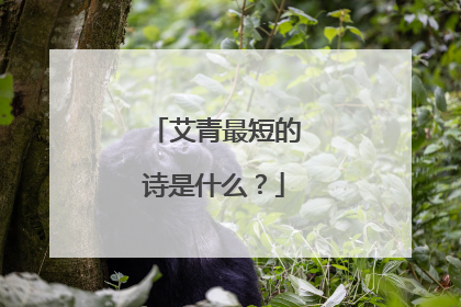 艾青最短的诗是什么?