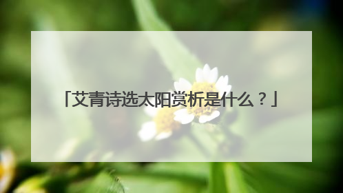 艾青诗选太阳赏析是什么？