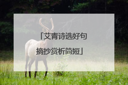 艾青诗选好句摘抄赏析简短