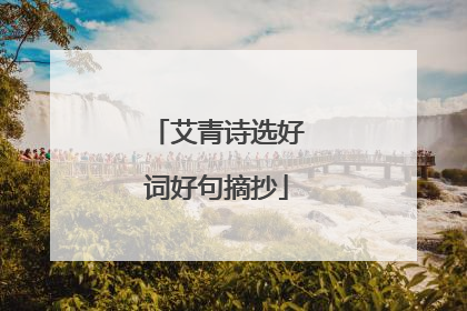 艾青诗选好词好句摘抄