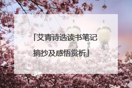 艾青诗选读书笔记摘抄及感悟赏析