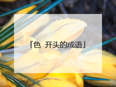 色 开头的成语