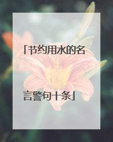 节约用水的名言警句十条