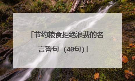 节约粮食拒绝浪费的名言警句 (40句)