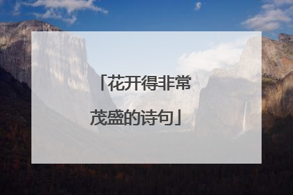 花开得非常茂盛的诗句