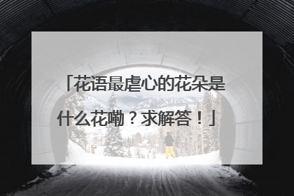 花语最虐心的花朵是什么花嘞？求解答！