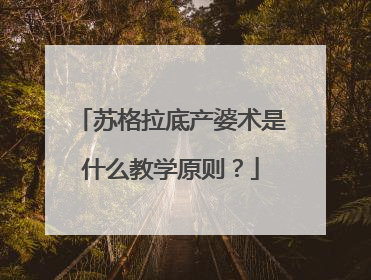 苏格拉底产婆术是什么教学原则？