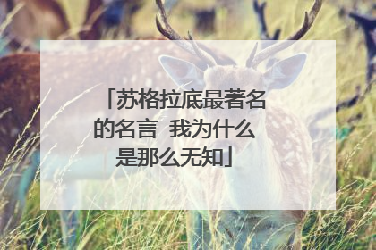 苏格拉底最著名的名言 我为什么是那么无知