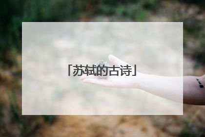 苏轼的古诗