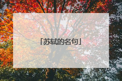 苏轼的名句