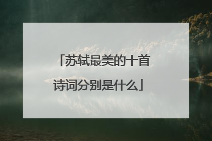 苏轼最美的十首诗词分别是什么