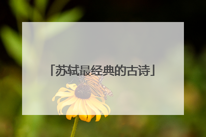 苏轼最经典的古诗