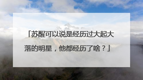 苏醒可以说是经历过大起大落的明星，他都经历了啥？