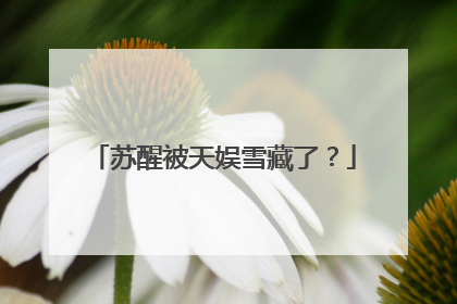 苏醒被天娱雪藏了？