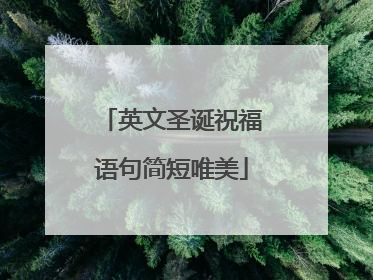 英文圣诞祝福语句简短唯美