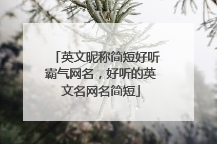 英文昵称简短好听霸气网名,好听的英文名网名简短