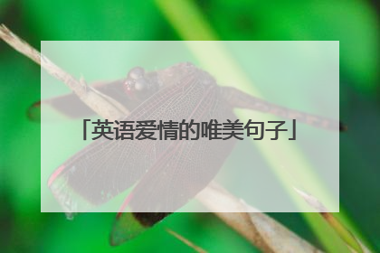 英语爱情的唯美句子