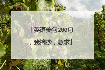 英语美句200句，我摘抄，急求