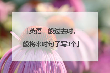 英语一般过去时,一般将来时句子写3个