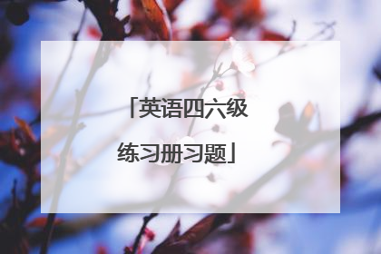 英语四六级练习册习题