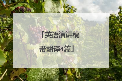 英语演讲稿带翻译4篇