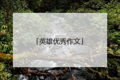 英雄优秀作文